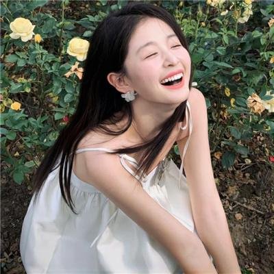 完美独裁