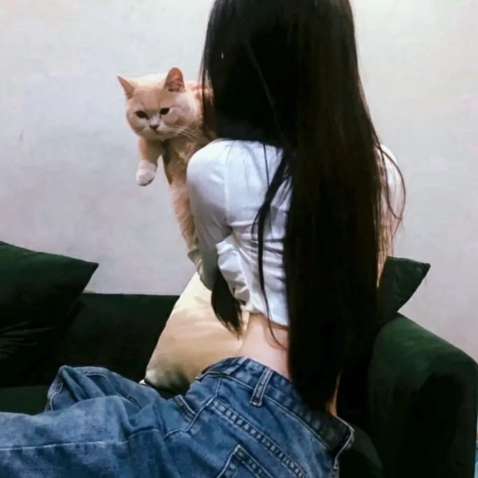 猎狐