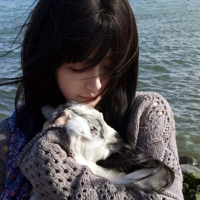 工程师普赖特的方案